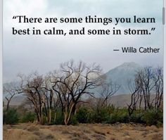 There are some things you learn best in calm, and some in storm. - Willa Cather